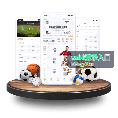 ca88登录入口账号安全封面